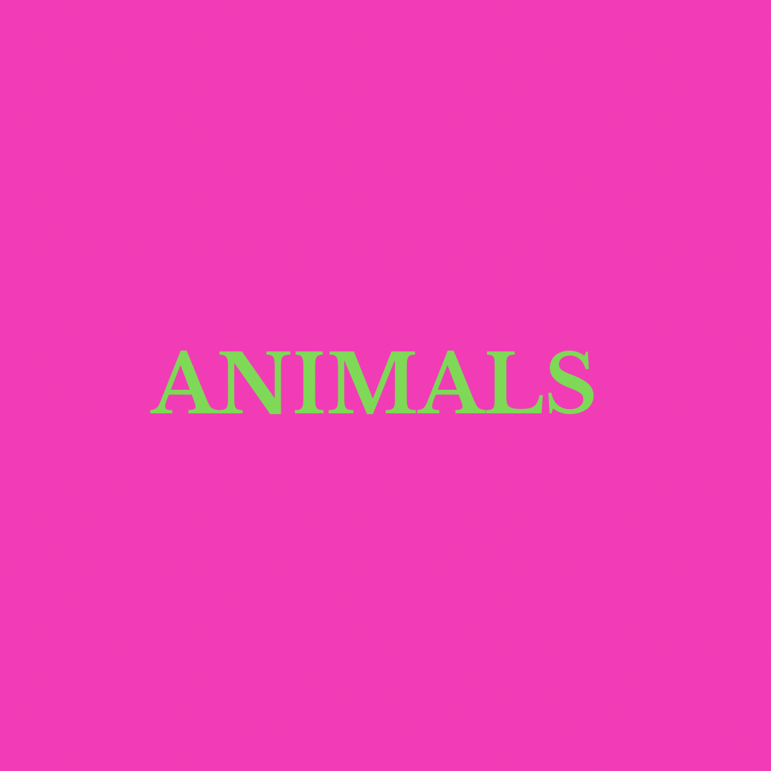 Animals